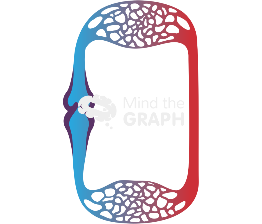 Zebrafish circulatory system scheme Icons, Symbols, Pictures, and Images