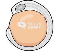 Zebrafish larvae 1 Icons, Symbols, Pictures, and Images