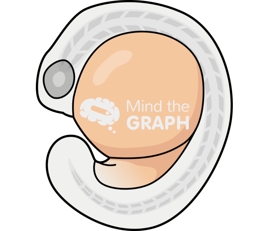 Zebrafish larvae 2 Icons, Symbols, Pictures, and Images