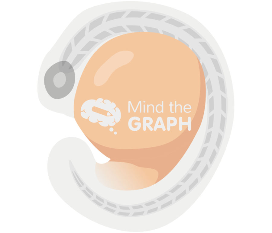 Zebrafish larvae 2 Icons, Symbols, Pictures, and Images